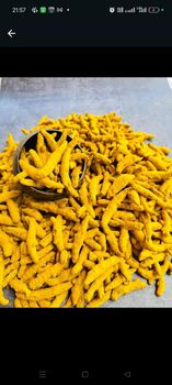 Turmeric Finger Salem quality from Balaji International Turmeric Finger Salem quality - Balaji International - India