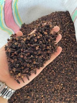 Whole Cloves / Dried Clove Size Mixed Size Manufacturer Tanzania Packaging Cartons (10 Kg) Color Brown To Dark - AL JABLI TRADING COMPANY LIMITED - Tanzania