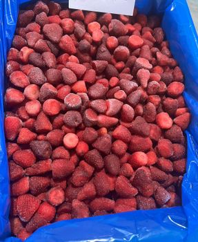 Frozen strawberry 🍓 Type Fortona Origin Egypt Packaging 10kg Brand Name Sara Color Strawberry Shelf Life 2 year Processing Type Iqf - Elbardy international - Egypt