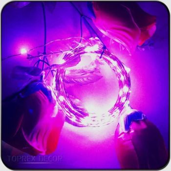 Christmas Fairy Lights Pure Copper Wire Battery Powered 15D MOQ100 - Shenzhen Toprex Festival Decoration Co., Ltd. - China