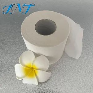 Virgin Wood Pulp Patterned Hollow Toilet Paper Style Roll MOQ 1 Roll Color White Sample Free Model NO. 001 Density 15GSM - Shandong Fenite New Materials Co., Ltd. - China