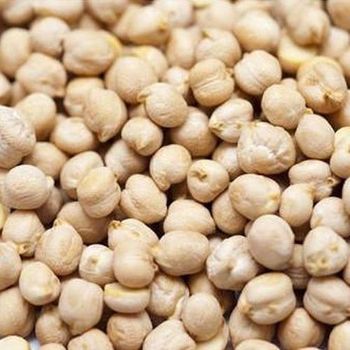 Fresh Whole Organic Chickpeas Clean & Natural Economical Wholesale Bulk Packages for Resale - A.C.P. AGRICULTURE COMPANY LIMITED - Thailand