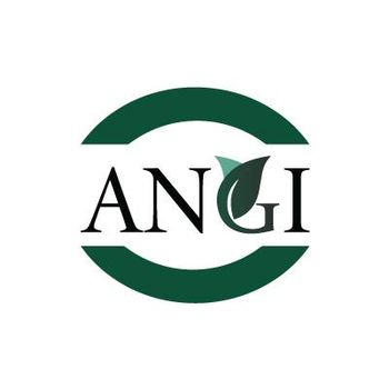 ANGI