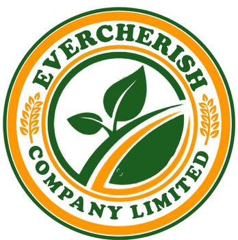 Product - EVERCHERISH COMPANY LIMITED - Tanzania