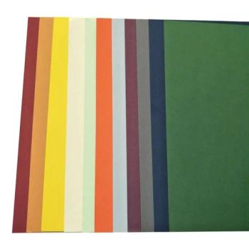 Wholesale Price Colored Sheets Arts Craft Color Printing Hard Cardboard Paper Bristol Paper Color Paper Board for Packing - Shenglong International Trade (Qingdao) Co., Ltd. - China