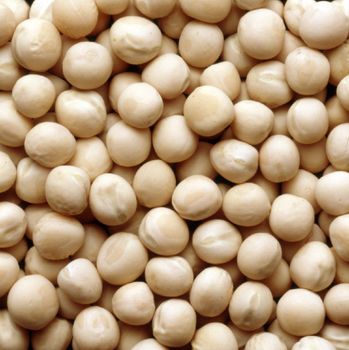 Yellow full peas Color Yellow Texture Full Packaging 90kgs bags Place of Origin Kenya Flavor Profile Earthy Purity 100% Natural And Non-gmo - Ketumba limited  - Kenya