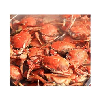 Live King Crab, Norwegian Red King Crab, King Crab Grade A Type king crabs Max. Moisture (%) 5 Primary Use Fine Dining Product Type Luxury Seafood -  CALIPSO POLSKA SP Z OO  - Poland