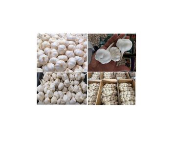 Agriculture, Food & Beverage – product photo, Food Beverage products found from trusted suppliers, wholesalers, manufacturers & exporters Listing