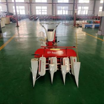 Small Self-Propelled Rice and Wheat Harvesting and Bundling Machines at Affordable Prices - Yucheng Dingshengyuan Machinery Manufacturing Co., Ltd - China