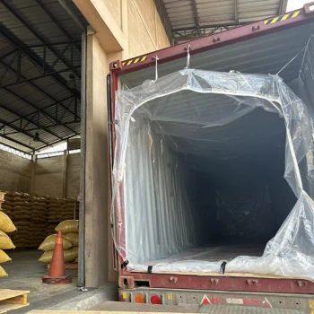 Bulk PP Plastic Woven Flexible Container Liner Bags for Transportation - Shandong Ocean Blue Whale Packing Co., Ltd - China