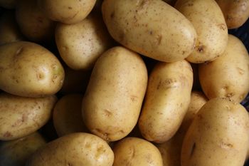 Fresh Potato - Siddheshwari Enterprises - India