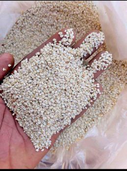 Whit sesame - Pachira pabana SARL - Burkina Faso