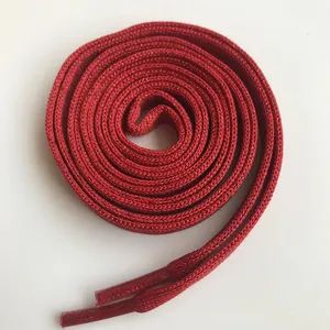 Double-Layered Gold and Silver Flat Shoelaces Nylon Clothing Accessories Rope Hooded Rope Shoelacesth8099 - BY TRIMS CO., LIMITED - China