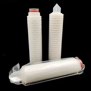 0 5 Micron 226 Interface 10 Inch Replaceable PP Pleated Filter Cartridges for The Food and Beverage Industry - Hebei Ince Environmental Technology Co., Ltd. - China