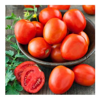 Fresh Tomatoes New Season Delicious High Quality Red Tomato Grade A Texture Juicy Type Fresh Tomato Max. Moisture (%) 5 Freshness Hand-picked -  CALIPSO POLSKA SP Z OO  - Poland