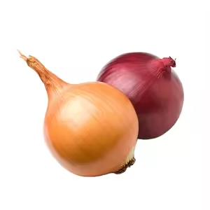 China High Quality Onion For Wholesale from Liaocheng VividVeg International Trade Co., Ltd China High Quality Onion For Wholesale - Liaocheng VividVeg International Trade Co., Ltd - China