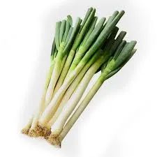 Export Natural Great Value Chinese Shandong Long Fresh Green Onion - Jining New SILK ROAD Food Co., Ltd. - China