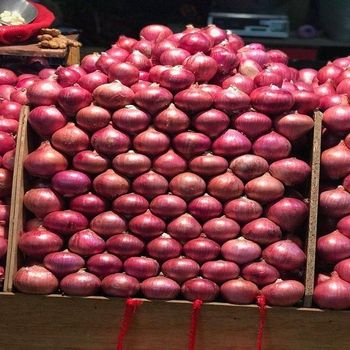 Total Organic Premium Red Fresh Onions Sprout-Crisp and Flavorful 10kg Egyptian Export Quality From Egypt – product photo, Top Quality Products