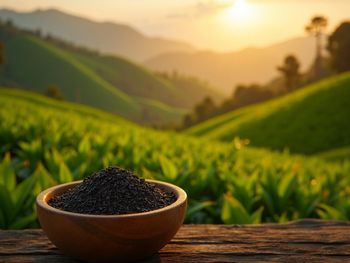 Kenyan Black Tea from Savannah Source Global Trade Ltd Kenyan Black Tea - Savannah Source Global Trade Ltd - Kenya