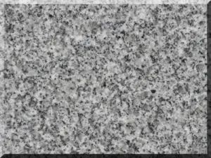 Selling G603 Granite, Building Material Granite Stone - Shenzhen Leeste Industry Co., Ltd. - China