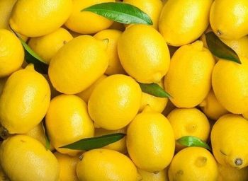 Fresh lemons - NUTRIDIET LDA - United Kingdom