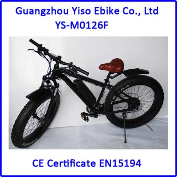 Flyer Electric Cargo Bike Electric Mountain Bike 24V/36V/250W Li-ion - Guangzhou Yiso Ebike Co., Ltd. - China