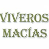 Product - VIVEROS MACÍAS - Spain