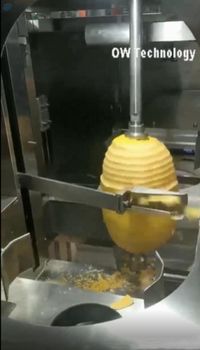 Fruit Vegetable Peeling Machine -  Shanghai Ow Technology Co., Ltd.  - China