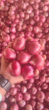 Fresh Red Onion – product photo, Dried Red Onion products found from trusted suppliers, wholesalers, manufacturers & exporters Listing