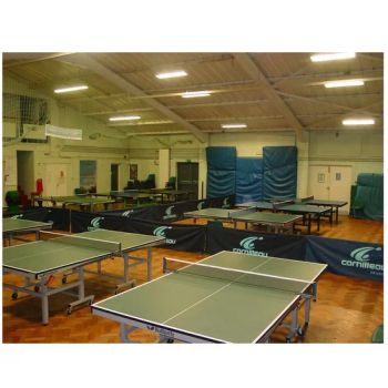 Steel Frame Prefabricated Table Tennis Training Playing Sports Hall Hangar Building - Qingdao Director Steel Structure Co., Ltd. - China