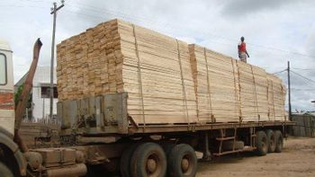 Ayous Texture Smooth Weight Lightweight Max. Moisture (%) 16 Sourcing Sustainable Workability Excellent Place of Origin - Savanna Woods - Cameroon