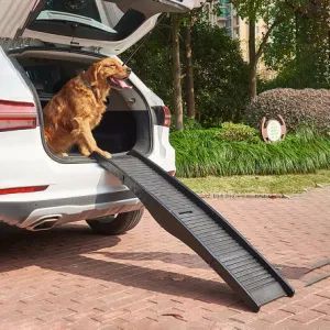 Plastic Foldable Ladder Pet Ladder Foldable Dog Stairs Large Dog Ramp Car Folding Pet Steps Carrying Pet Ramp - Enlightening Group Co., Ltd - China