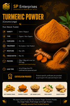 Turmeric Powder - SP Enterprises - India