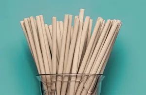 Natural Reed Straw Drinking Straws, Wheat Straw Eco-Friendly and Biodegradable Bar Pearl Milk Tea Coconut Plant Bamboo Drinking Straws, 20cm Long - Anhui Yuxing Import and Export Co. , Ltd. - China