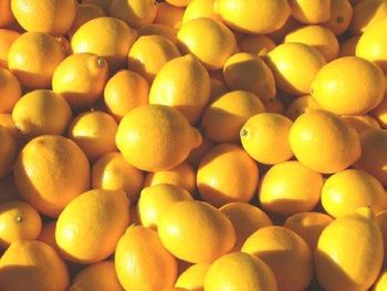 Fresh Lemon Grade Class 1 Shelf Life Long Flavor Fresh And Vibrant, Maximum Flavor Quality Standards International Standards - Mundus Exports Pty Ltd - South Africa