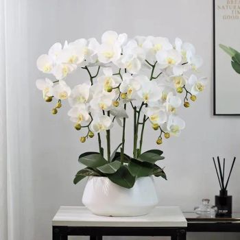 Customizable Color Faux Phalaenopsis Orchid Plants Artificial Flowers Real Touch Decorative Flowers - GOOD SELLER CO., LTD - China