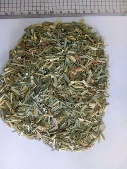Dried Lemongrass (Cymbopogon citratus) – Cut & Sifted, Premium Export Grade, Egypt Origin - Elmotmiz Herbs - Egypt