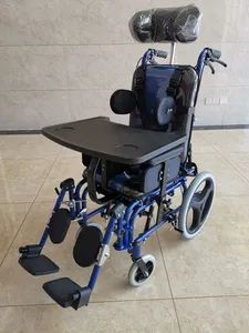 Brother Medical Bicycle Baby Strollers Turkey Baby Stroller Parts for Disabled - Shanghai Brother Medical Manufacturer Co., Ltd. - China