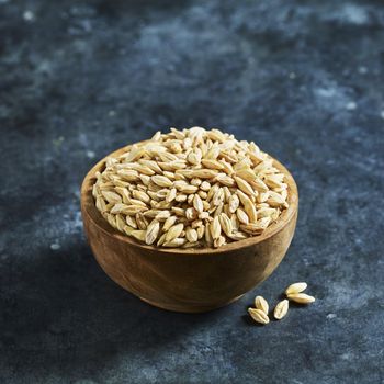 Premium Barley Grain Packed With Essential Nutrients And Barley Kernels For Bulk Export And Industrial Production - malter group - Tanzania