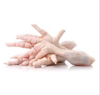 Premium Grade A Frozen Chicken Feet – Halal Certified, Clean & Well-Processed | IQF Frozen, Bulk Export Supply for Wholesalers, Retailers & Food Processing Industry - TRADE NEPAL LLC - United States