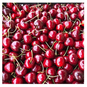 High Quality Fresh Fruit Cherries Available For Sale At Low Price  -  CALIPSO POLSKA SP Z OO  - Poland