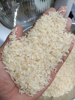 IR 64 Rice Paraboiled 5% Broken Moisture Content Max 14% Supply Seasonality Year-round Average Grain Length 6.0–6.2 Mm Broken Percentage 5% / 25% (as - Shahji International - India