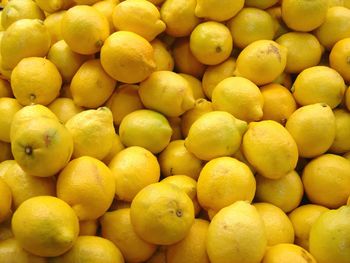 Fresh lemons/ Fresh Citrus Fruits and Yellow Lemon & Green Lime - GOLDEN STAR BV - South Africa