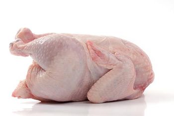 Frozen Whole Chicken – Grade A, Halal Certified, 800g–1500g, Export Quality from Trapani Global Trade B.V. Frozen Whole Chicken – Grade A, Halal Certified, 800g–1500g, Export Quality - Trapani Global Trade B.V. - United States