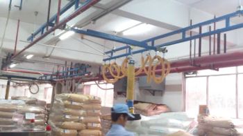Overhead Crane with Electrical Hoist and Lifting Equipment 500kg - Dongguan Easytech Automation Mechanical and Electrical Equipment Co., Ltd. - China