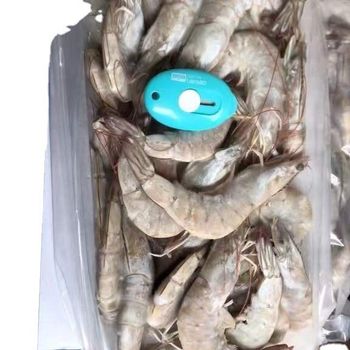 FISH AND FISH PRODUCTS (CRUSTACEANS) FROZEN HOSO VANNAMEI SHRIMPS IN FROZEN - AMAZE SEAFOOD TRADE - India