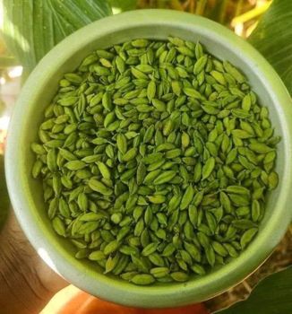 cardamom - SUPER PLASTIC - India