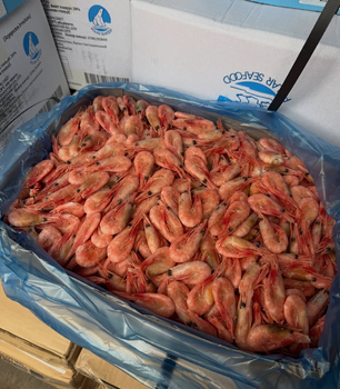 PREMIUM WILD-CAUGHT RED SHRIMP ,Polar Seafood Red Shrimp 5Kg - Cooked, Shock Frozen & Ready to Eat Shrimp For Sale - Sosa Merchant Solutions - Austria