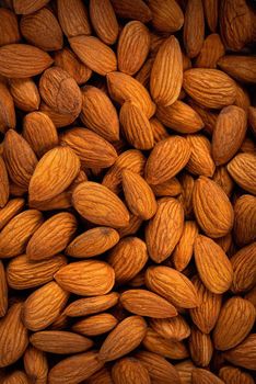 Inshell almonds nonpareil edible from BF GLOBAL TRADING (PTY) LTD Inshell almonds nonpareil edible - BF GLOBAL TRADING (PTY) LTD - South Africa