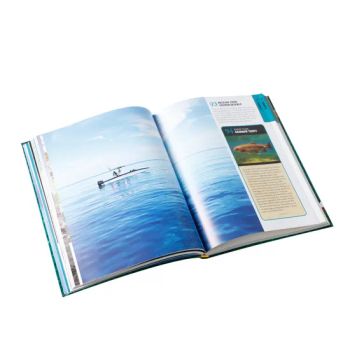 Custom Printing Brochure Magazine Coloring Book Brochure Printing in China - NATRUAL XIAMEN INDUSTRIAL LTD - China